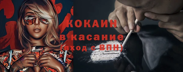 ГАЛЛЮЦИНОГЕННЫЕ ГРИБЫ Тавда