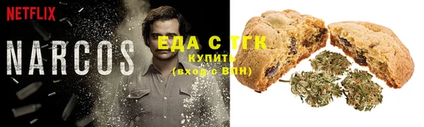 гидра Тайга