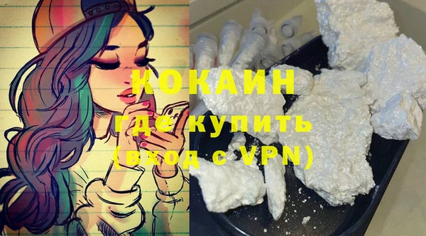 гидра Тайга