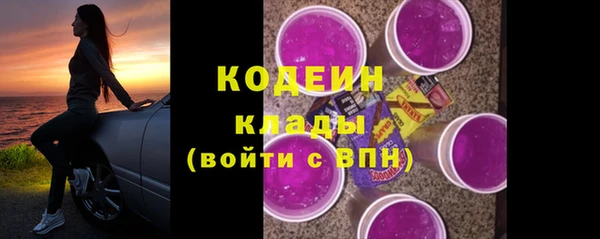 гидра Тайга