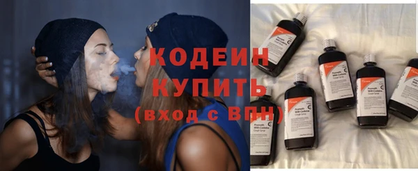 ГАЛЛЮЦИНОГЕННЫЕ ГРИБЫ Тавда