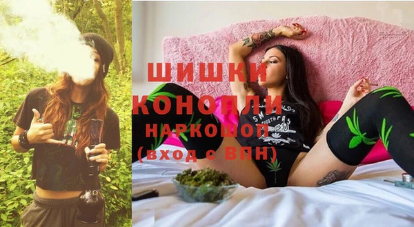 ГАЛЛЮЦИНОГЕННЫЕ ГРИБЫ Тавда