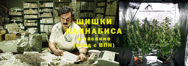 ГАЛЛЮЦИНОГЕННЫЕ ГРИБЫ Тавда