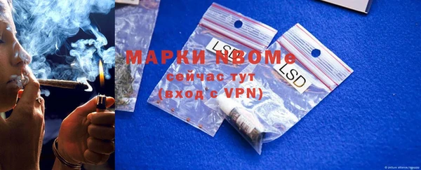 ГАЛЛЮЦИНОГЕННЫЕ ГРИБЫ Тавда