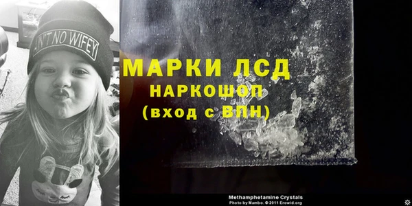 гидра Тайга