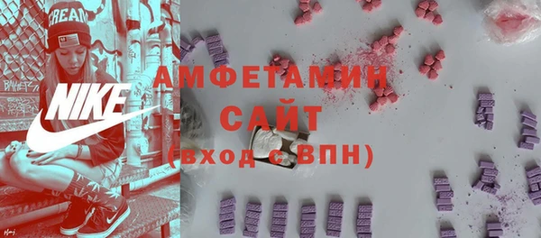 гидра Тайга