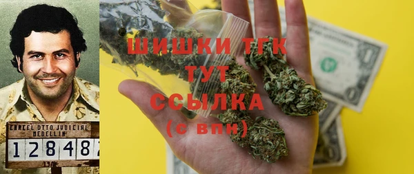 гидра Тайга