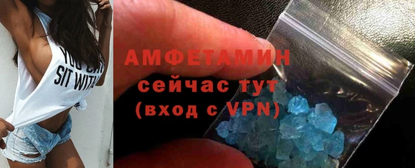гидра Тайга