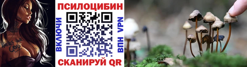 цены наркотик  Усмань  Псилоцибиновые грибы прущие грибы 